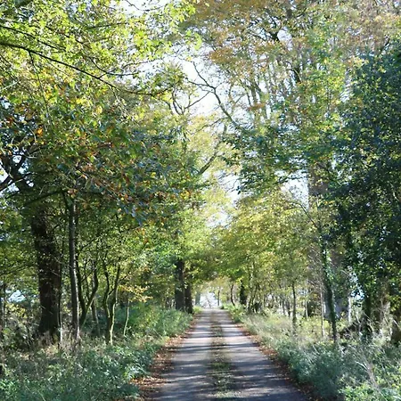 펜션 Inisean Log -part Of Inisean